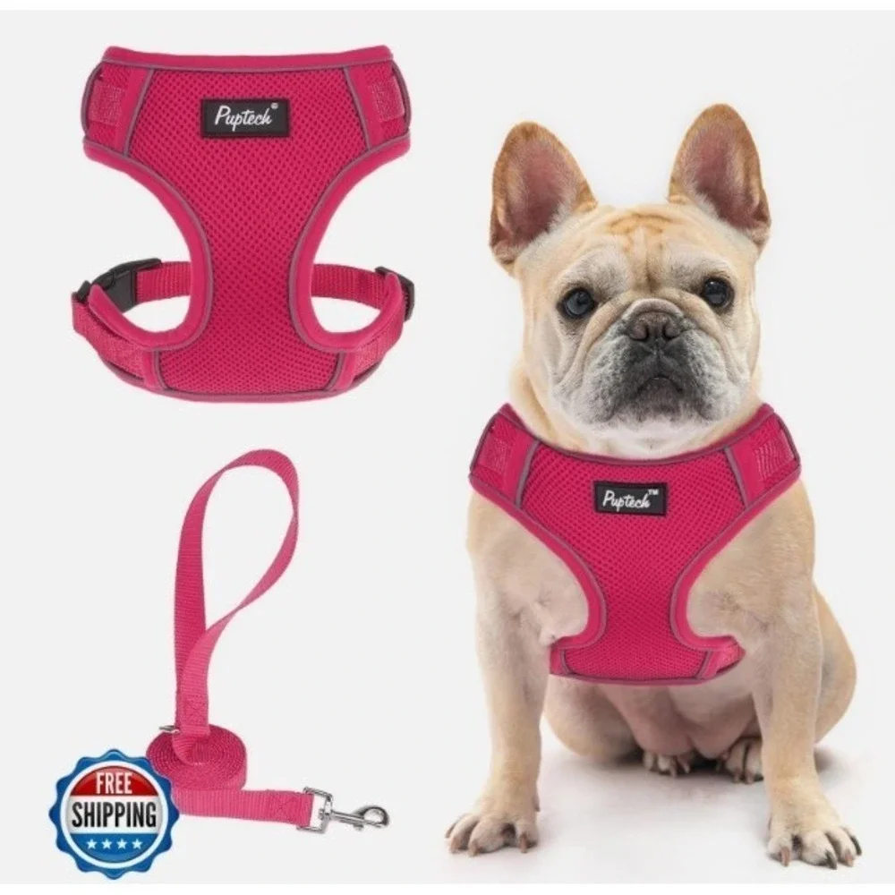 Harness and Leash Set for Small Cats & Dogs PUPTECK - Hot Pink #174